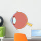 Eye Anatomy Wall Decal