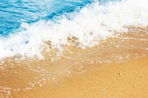 Ocean Shore Wall Decal