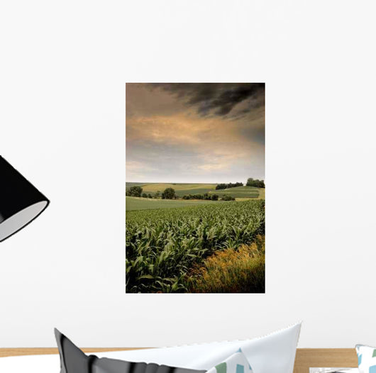 Mid-summer Cornfield Wall Decal