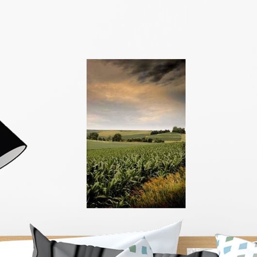 Mid-summer Cornfield Wall Decal