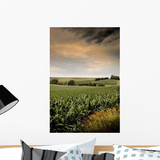 Mid-summer Cornfield Wall Decal