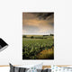 Mid-summer Cornfield Wall Decal