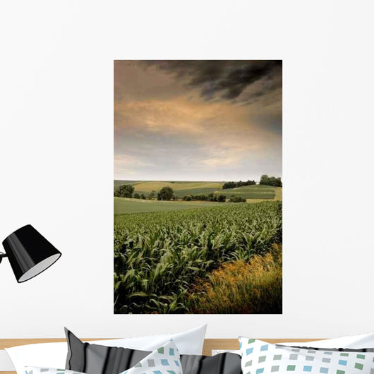 Mid-summer Cornfield Wall Decal