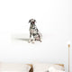 Dalmation White 3 Wall Decal