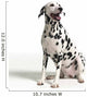 Dalmation White 3 Wall Decal