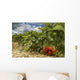 Erdbeerfeld Wall Decal