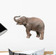 Baby Elephant Wall Decal