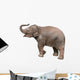 Baby Elephant Wall Decal