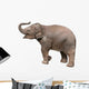 Baby Elephant Wall Decal