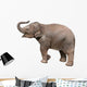 Baby Elephant Wall Decal