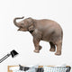 Baby Elephant Wall Decal