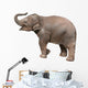 Baby Elephant Wall Decal