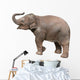 Baby Elephant Wall Decal