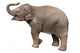 Baby Elephant Wall Decal