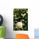 Melon Farm Field Wall Decal Design 1