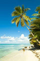 Tropical Beach Wall Decal Design 1