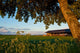 Countryside with Cow Stable Wall Decal