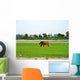El Rocio Wall Decal