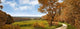 Autumn Landscape Wall DecalDecal 1