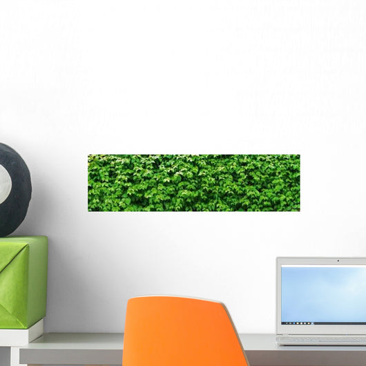 Panorama Gr N Wall Decal