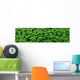 Panorama Gr N Wall Decal