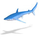 Blue Shark Wall Decal