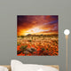 Sunset Desert Beauty Wall Decal