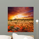 Sunset Desert Beauty Wall Decal