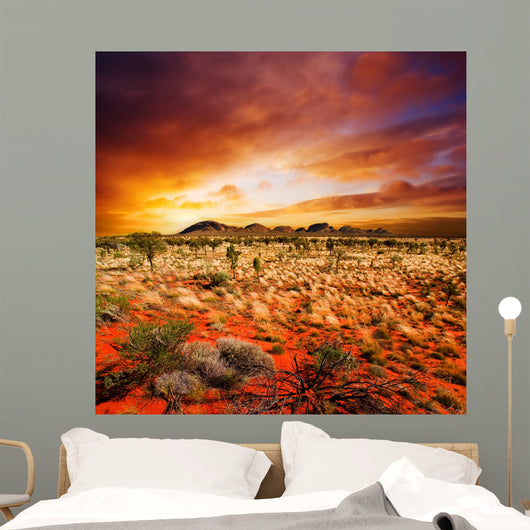 Sunset Desert Beauty Wall Decal