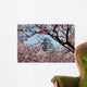 Himeji Castle during Cherry Wall Decal