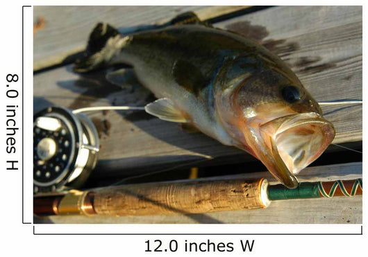 Bass-fishing Wall Decal