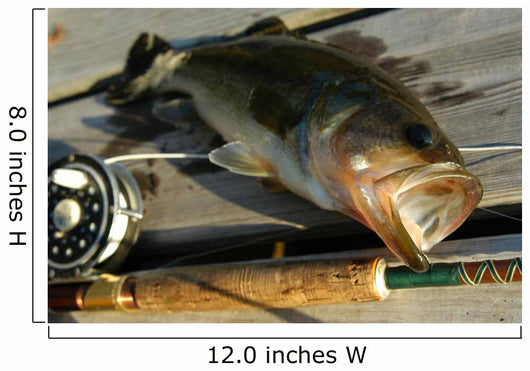 Bass-fishing Wall Decal