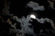 Full Moon and Clouds Wall Decal Design 2