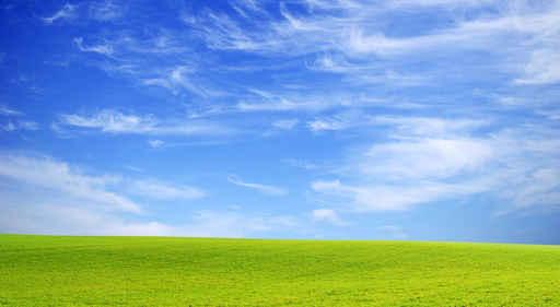 Field Wall Decal Design 1