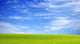 Field Wall Decal Design 1