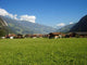 Zillertal Wall Decal