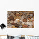 Coins Collection Wall Decal