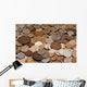 Coins Collection Wall Decal