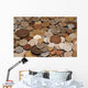 Coins Collection Wall Decal