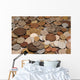 Coins Collection Wall Decal