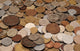 Coins Collection Wall Decal