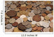 Coins Collection Wall Decal