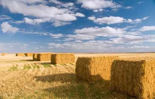 Square Hay Bales Wall Decal