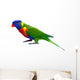 Rainbow Lorikeet Parrot Wall Decal