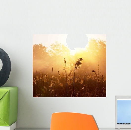 Misty Lake Wall Decal