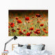 Poppies Field Wall Decal