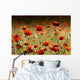 Poppies Field Wall Decal