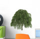 Willow Salix Wall Decal