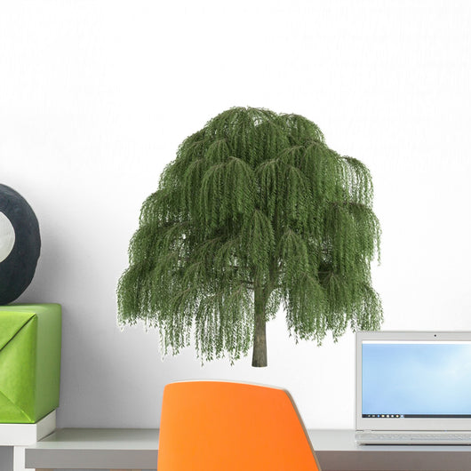 Willow Salix Wall Decal