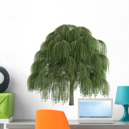 Willow Salix Wall Decal